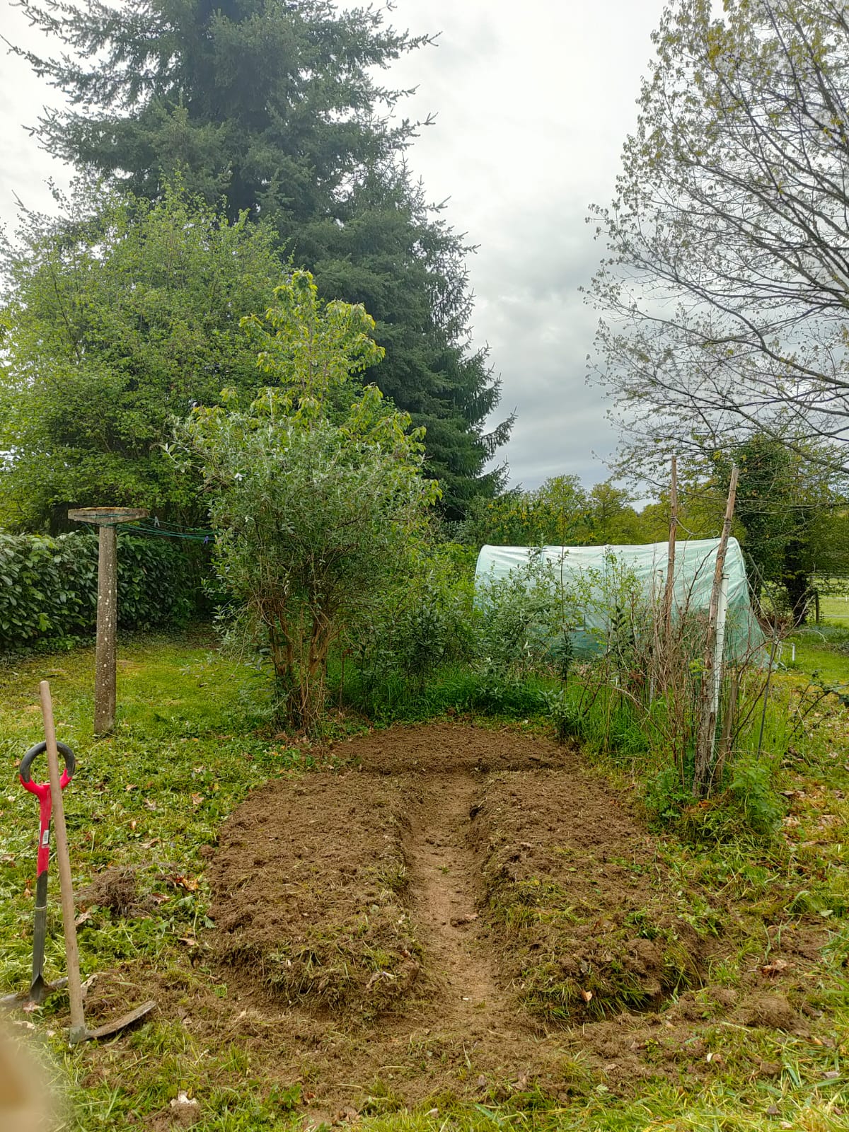 Potager de ville, Limoges — Avant